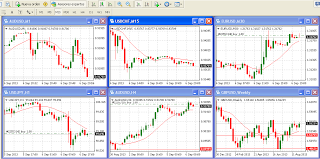 que significa pip en forex